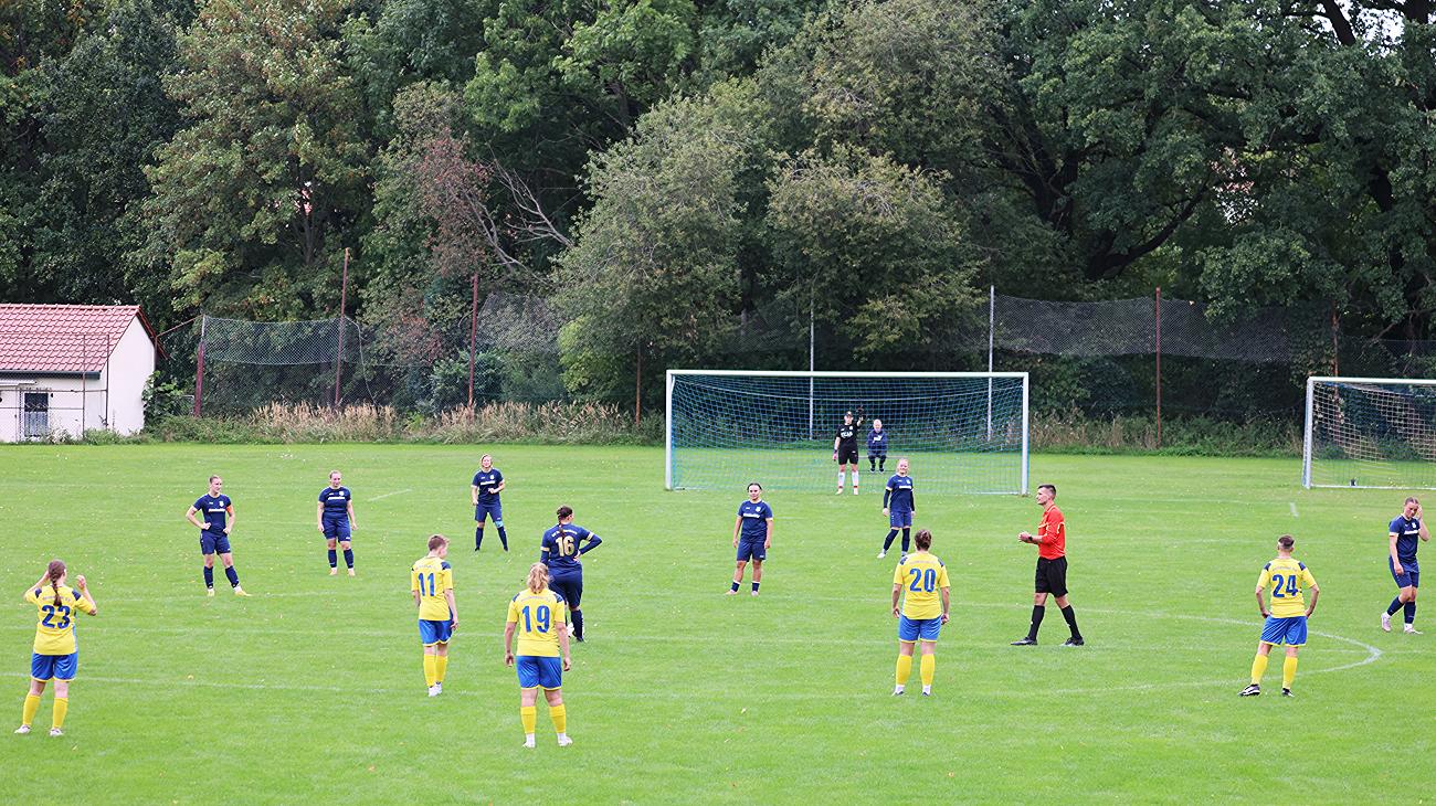 SpG SV Reichenbach/Seer Wölfe F.C./Holtendorfer SV vs Heidenauer SV (5:2), Bilder: Gerd Fechner
