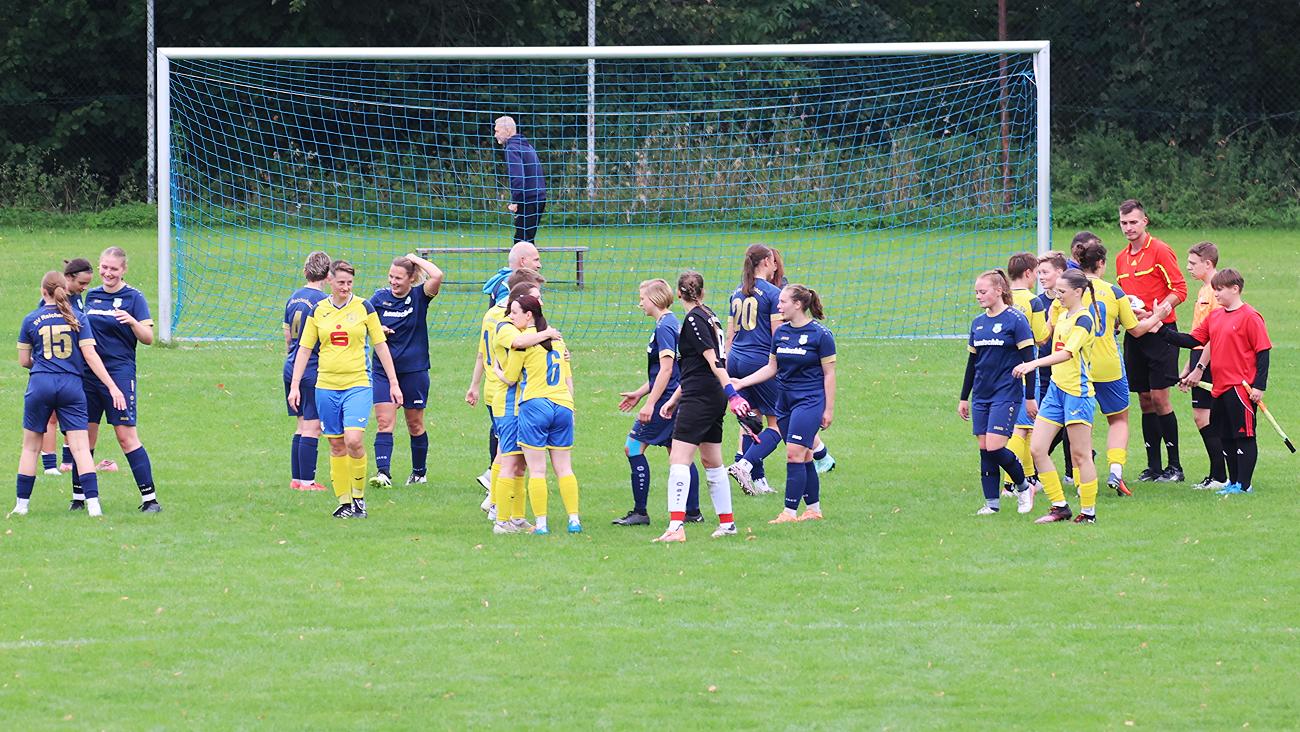 SpG SV Reichenbach/Seer Wölfe F.C./Holtendorfer SV vs Heidenauer SV (5:2), Bilder: Gerd Fechner