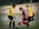Fußball-Frauen – „60 Jahre Fussball in Herrnhut“ Freundschaftsspiel Spg SV Reichenbach : 1. FFC Fortuna Dresden-Rähnitz am 28. Juni 2014, Foto: Mario Pohl
