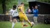 Fußball-1. Männer – SV Reichenbach : LSV 1951 Spree  (4:2) am 21. Mai 2017 - Foto: Florian Gaertner Fotografie