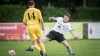 Fußball-1. Männer – SV Reichenbach : LSV 1951 Spree  (4:2) am 21. Mai 2017 - Foto: Florian Gaertner Fotografie