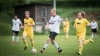 Fußball-1. Männer – SV Reichenbach : LSV 1951 Spree  (4:2) am 21. Mai 2017 - Foto: Florian Gaertner Fotografie