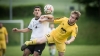 Fußball-1. Männer – SV Reichenbach : LSV 1951 Spree  (4:2) am 21. Mai 2017 - Foto: Florian Gaertner Fotografie