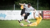 Fußball-1. Männer – SV Reichenbach : LSV 1951 Spree  (4:2) am 21. Mai 2017 - Foto: Florian Gaertner Fotografie