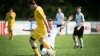 Fußball-1. Männer – SV Reichenbach : LSV 1951 Spree  (4:2) am 21. Mai 2017 - Foto: Florian Gaertner Fotografie