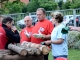 1. Reichenbacher Vielseitigkeits-Mannschafts-Meisterschaft am 27. Juni 2013, Foto: Tim Schneider